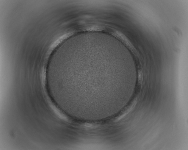 X0000115580725200911101147