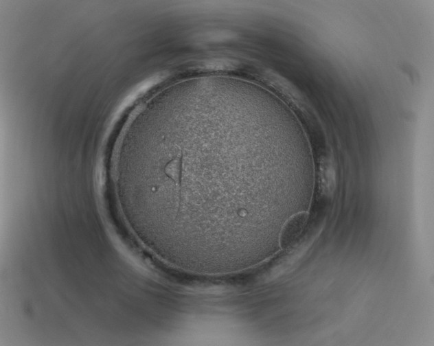 X0000115580726200911101147