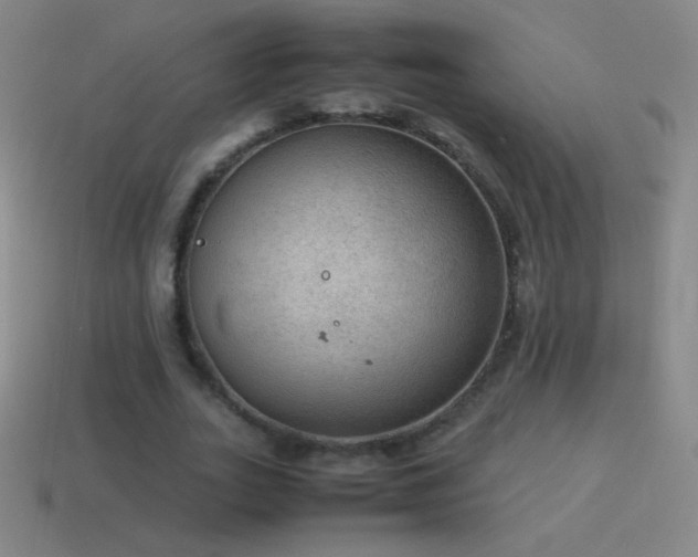 X0000115580727200911101147