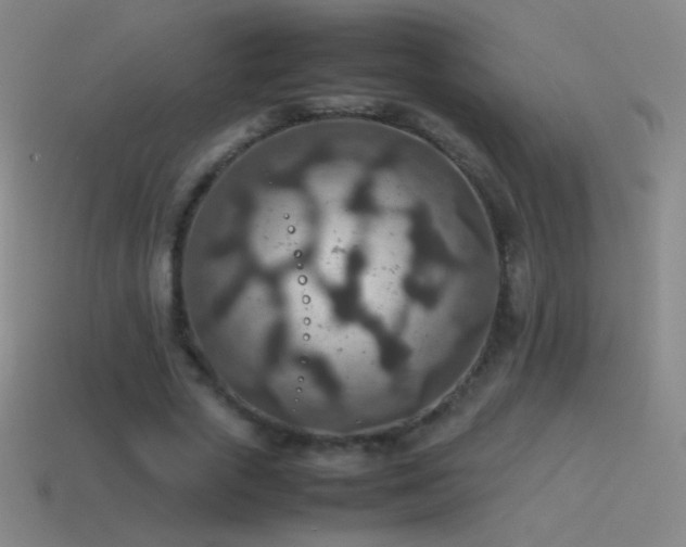 X0000115580729200911101147