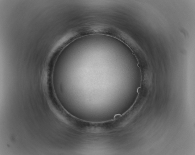 X0000115580730200911101147