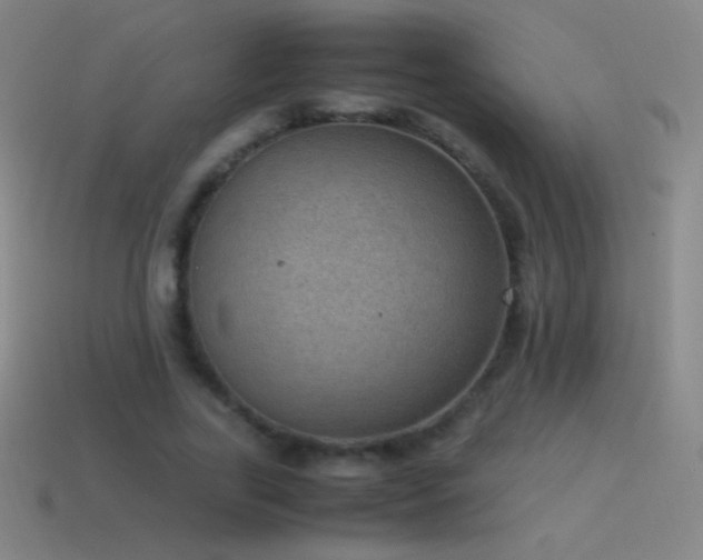 X0000115580731200911101147