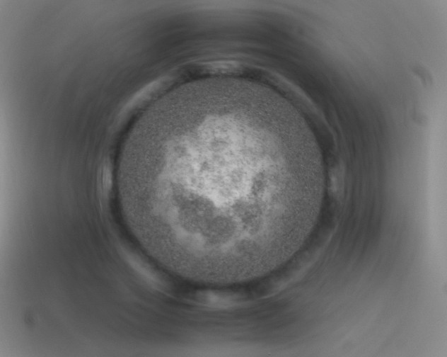 X0000115580733200911101147