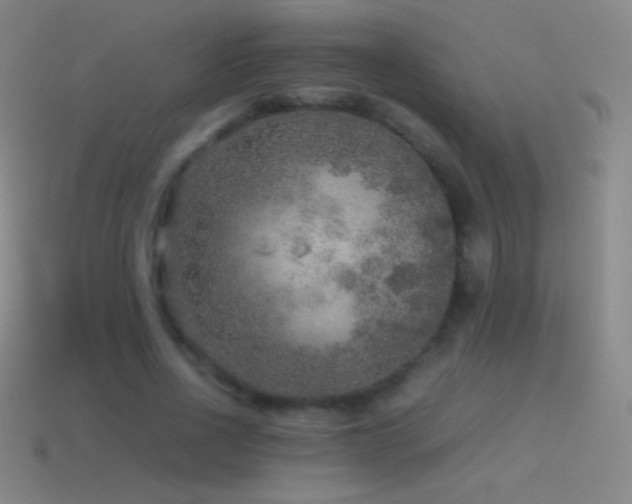 X0000115580734200911101147