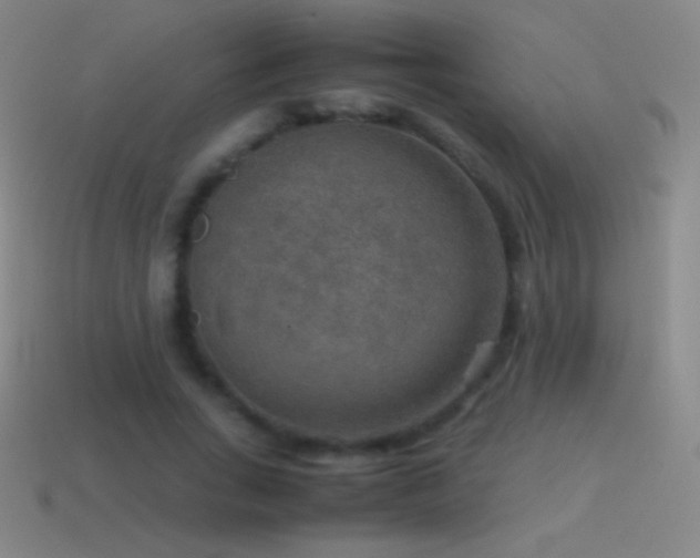 X0000115580735200911101147