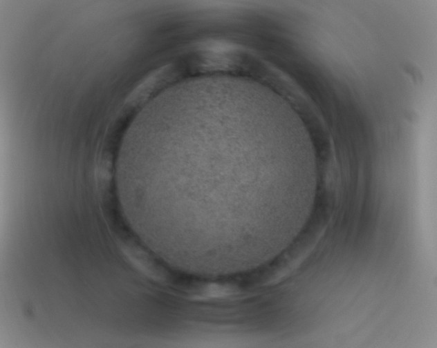 X0000115580737200911101147