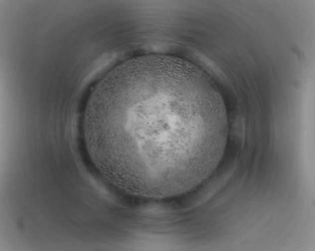 X0000115580738200911101147