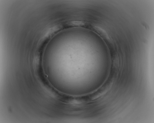 X0000115580739200911101147