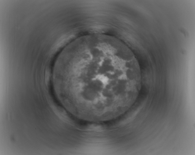 X0000115580742200911101147