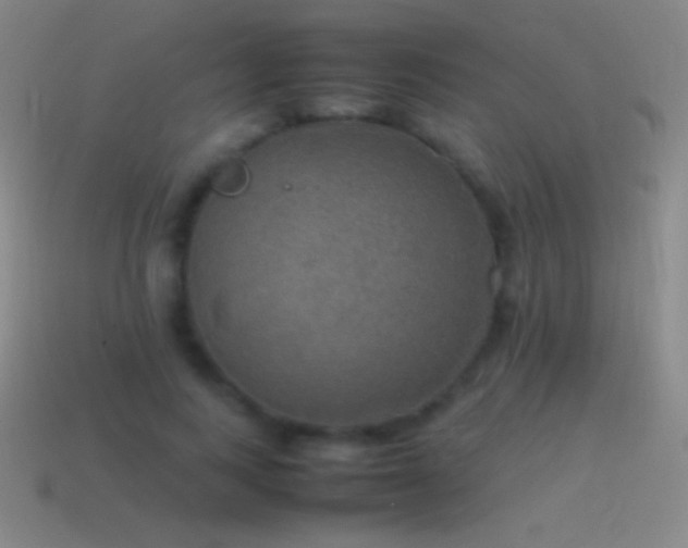 X0000115580743200911101147