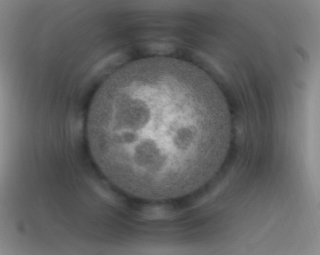 X0000115580745200911101147