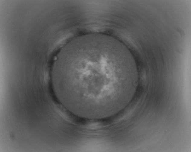 X0000115580746200911101147