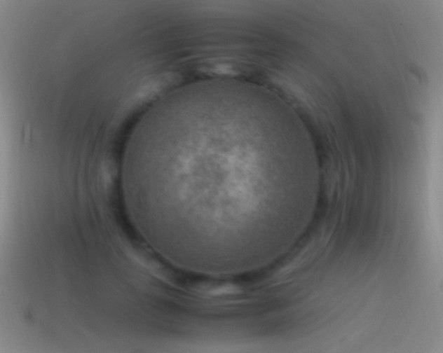 X0000115580747200911101147