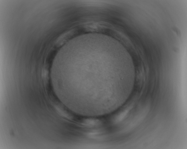 X0000115580749200911101147