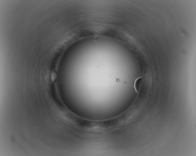 X0000115580750200911101147