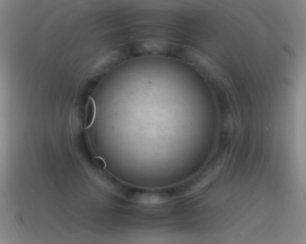 X0000115580751200911101147