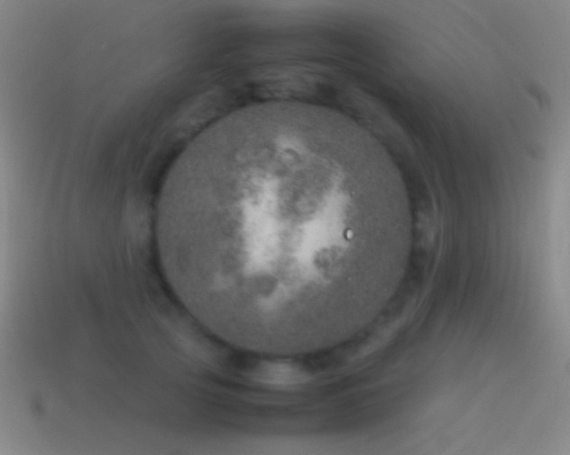 X0000115580753200911101147