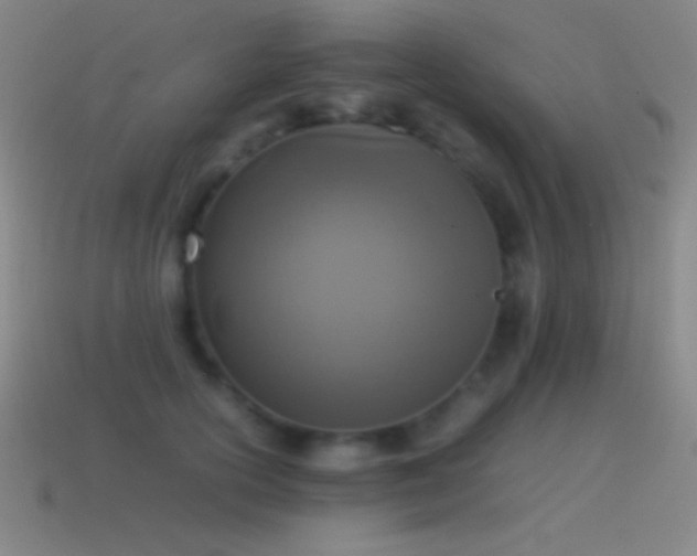 X0000115580754200911101148