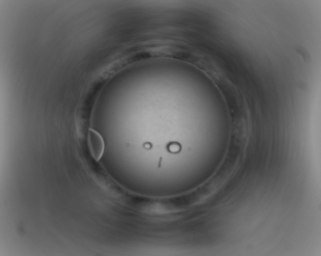 X0000115580755200911101148