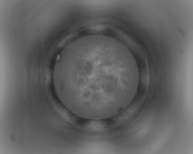 X0000115580758200911101148