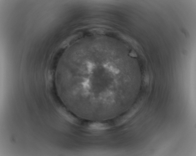 X0000115580759200911101148