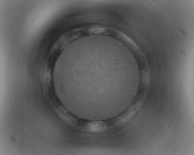 X0000115580761200911101148