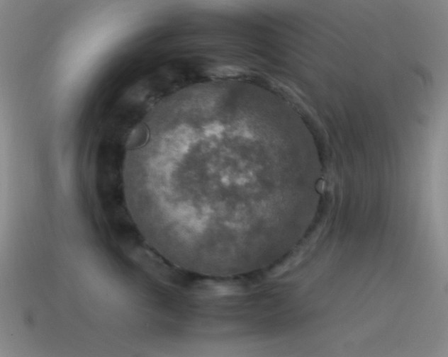 X0000115580763200911101148