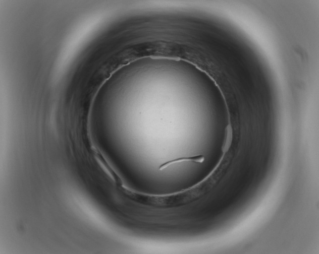 X0000115580766200911101148