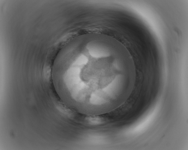 X0000115580767200911101148