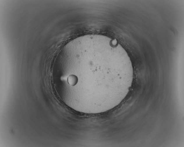 X0000115580769200911101147