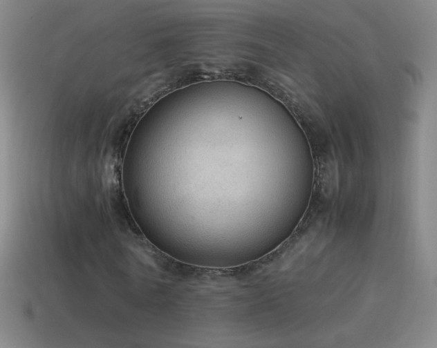 X0000115580770200911101147