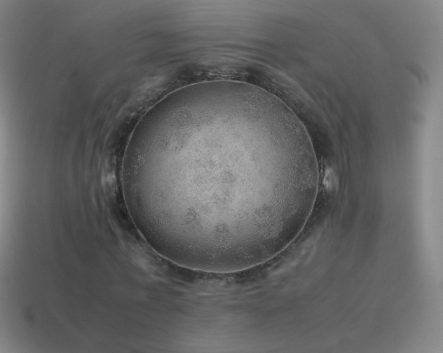 X0000115580771200911101147