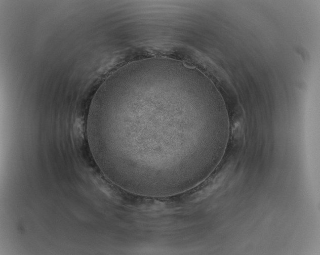 X0000115580772200911101147