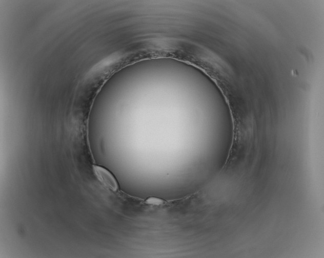 X0000115580773200911101147