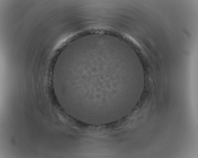 X0000115580775200911101147