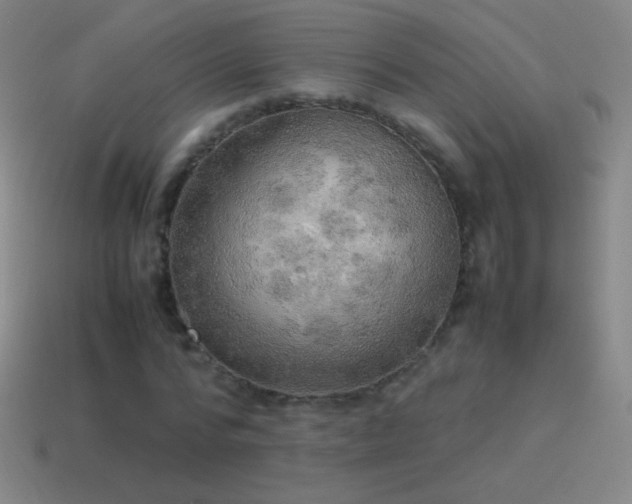 X0000115580776200911101147