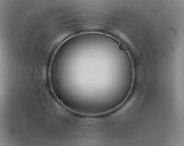 X0000115580777200911101147