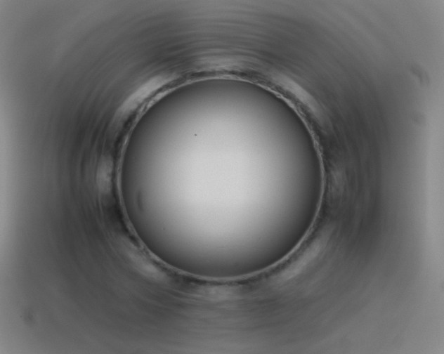 X0000115580778200911101147