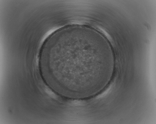 X0000115580779200911101147