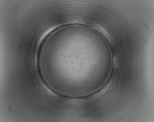 X0000115580780200911101147