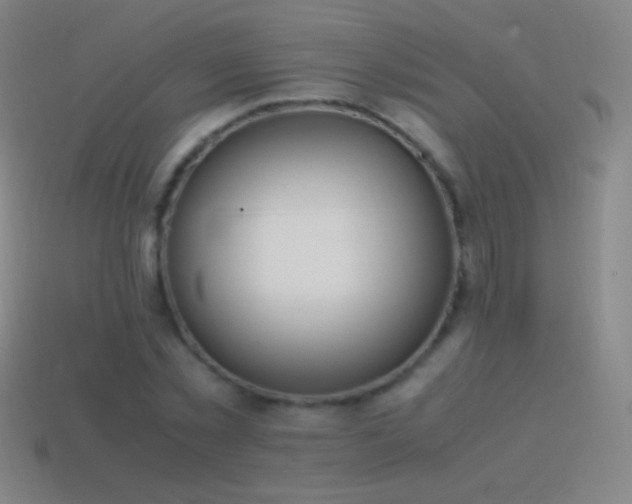 X0000115580781200911101147