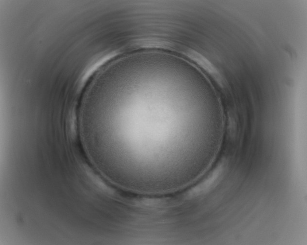 X0000115580782200911101147