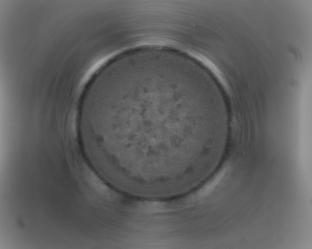 X0000115580783200911101147