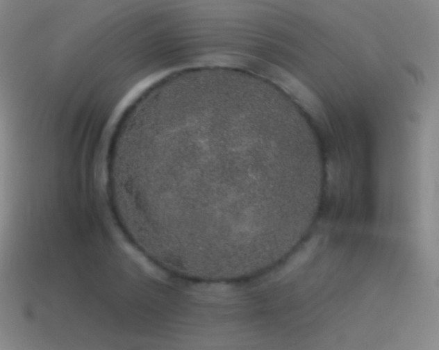 X0000115580784200911101147