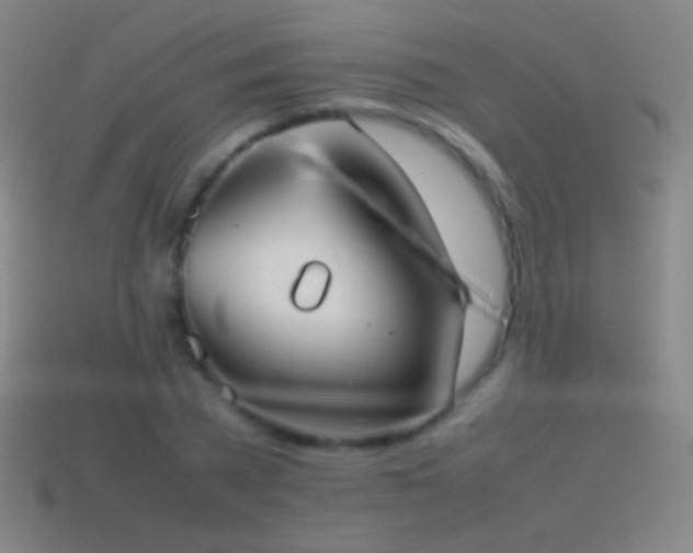 X0000115580785200911101147