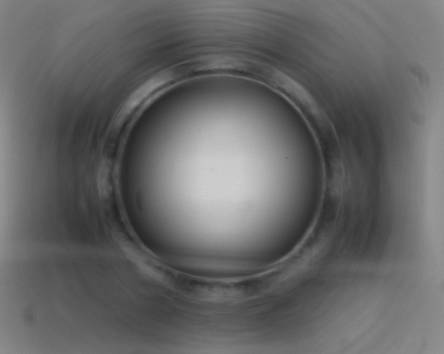 X0000115580786200911101147