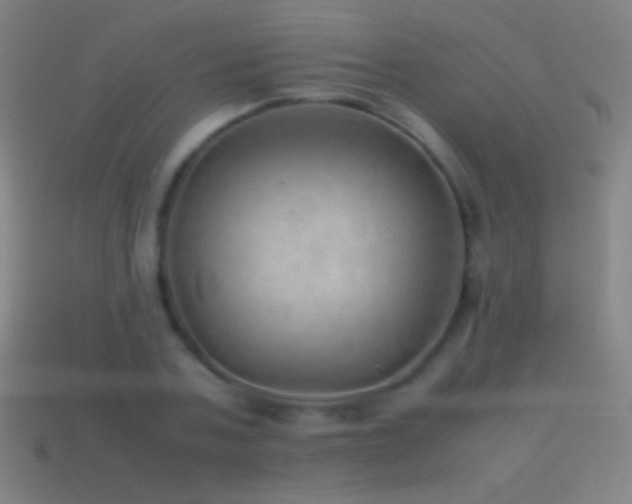 X0000115580787200911101147