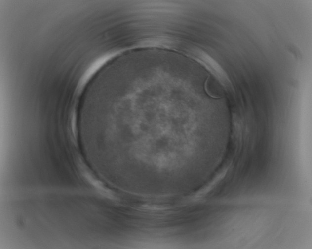 X0000115580788200911101147