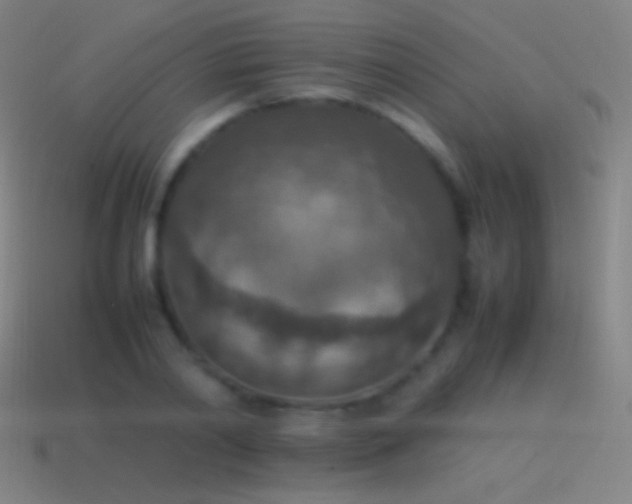 X0000115580790200911101147