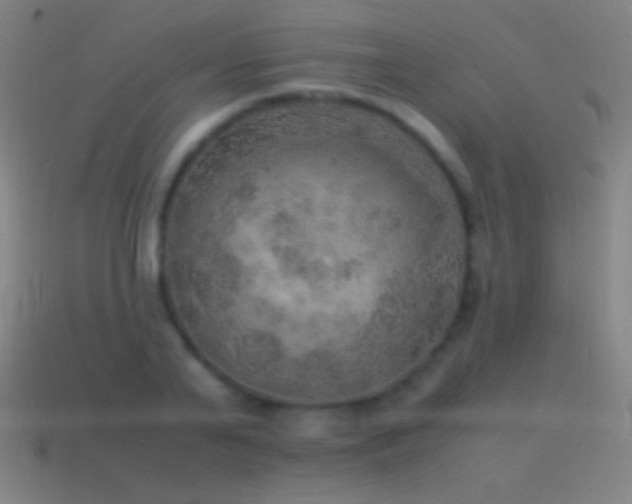 X0000115580791200911101147